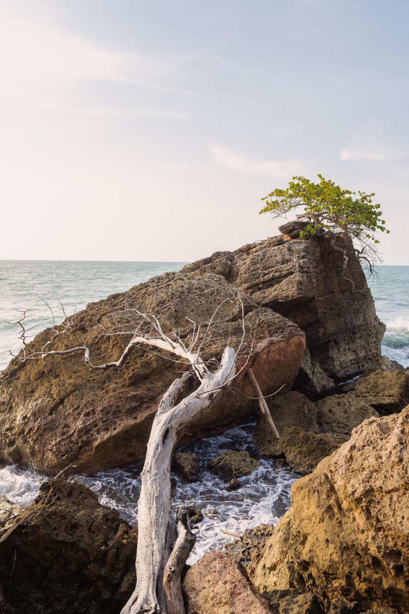 Paraiso Natural Ecohotel San Bernardo del Viento ภายนอก รูปภาพ